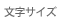 �����T�C�Y